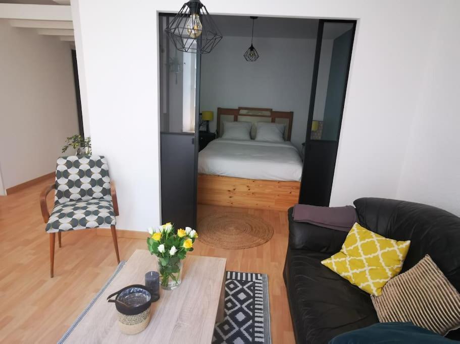 Nid Douillet A Quelques Pas De La Gare. Appartement Carcassonne Buitenkant foto